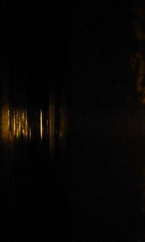 P1000494