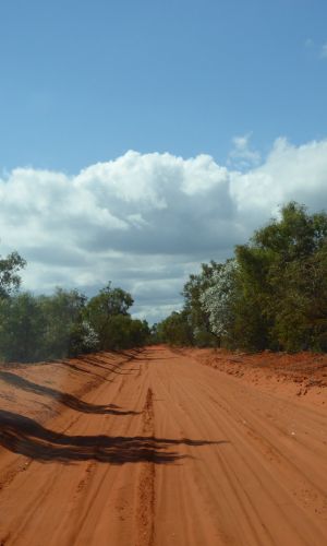 P1000445