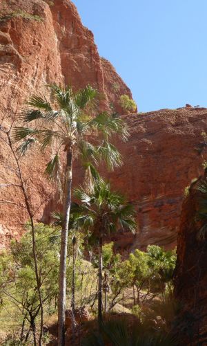P1000675