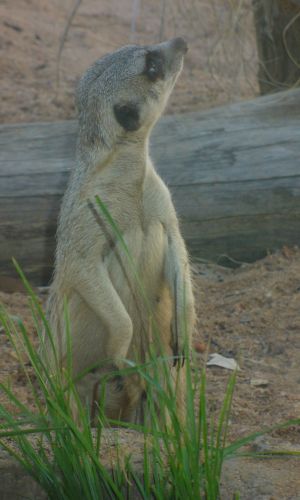 P1010577