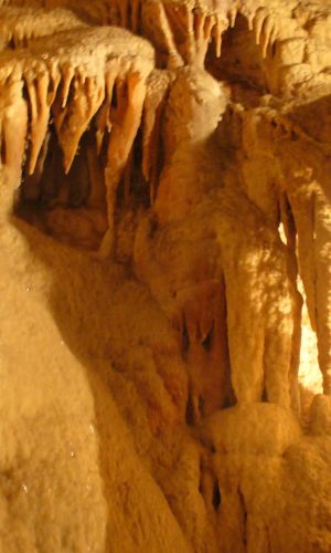 P1010489