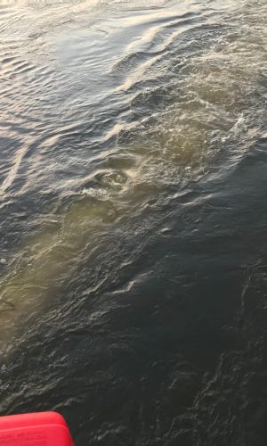 IMG 0391