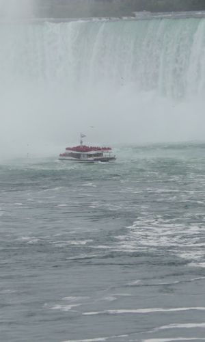 P1010373