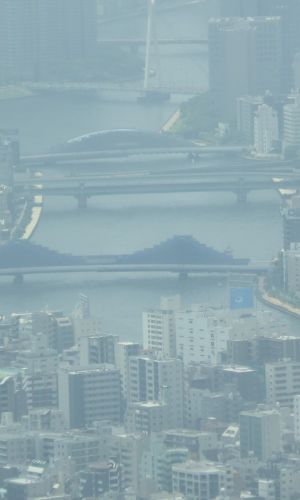 P1010423
