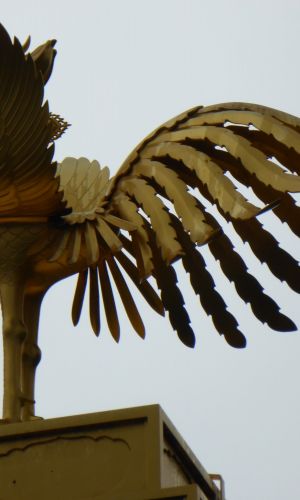 P1010565