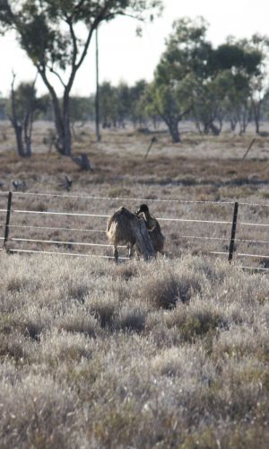 IMG 4875